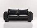 Canapé 2 places - Cuir-Bois - 180 x 94 x 85 cm - Noir - Style contemporain
