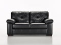 Canapé 2 places - Cuir-Bois - 182 x 95 x 86 cm - Noir - Style classique